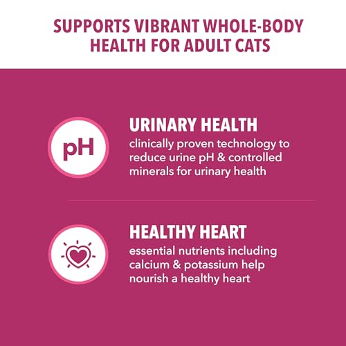 Best Cat Foods For Urinary Tract Health