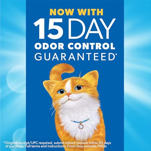 Best Cat Litters For Odor Control