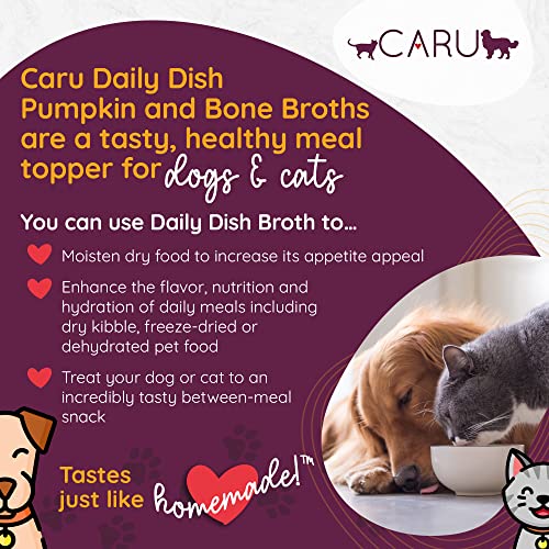 Best Chicken Flavor Cat Food For Picky Eaters