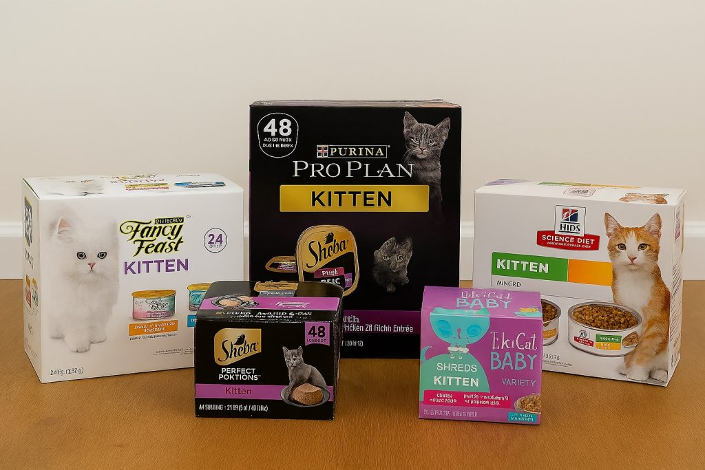 Best Wet Foods For Your Kitten