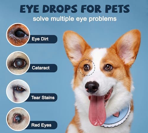 Best Eye Drops For Dogs With Cloudy Eyes