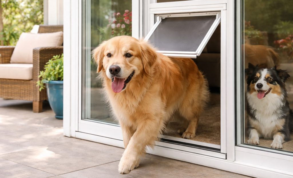 Best Dog Door For Vinyl Sliding Glass Door