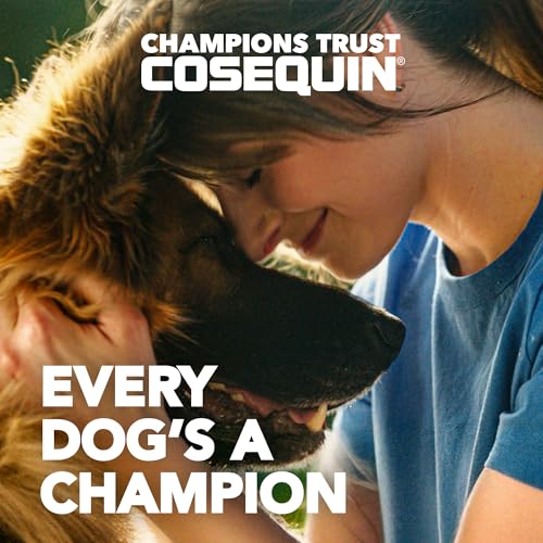Best Hip And Joint Supplement For Senior Dogs