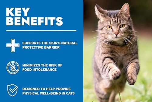 Best Wet Cat Food For Cats With Skin Allergies