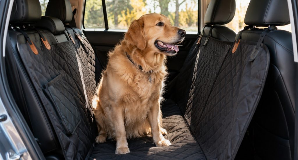 Best Dog Car Seat Cover For Leather Seats