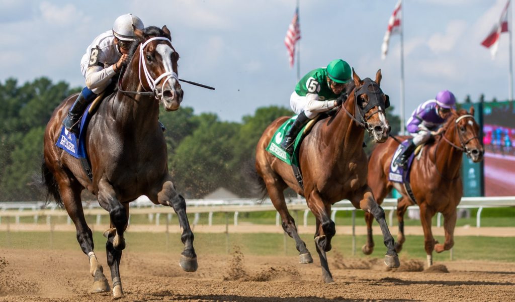 Are All Race Horses Male