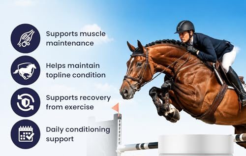 Best Amino Acid Supplement For Horses