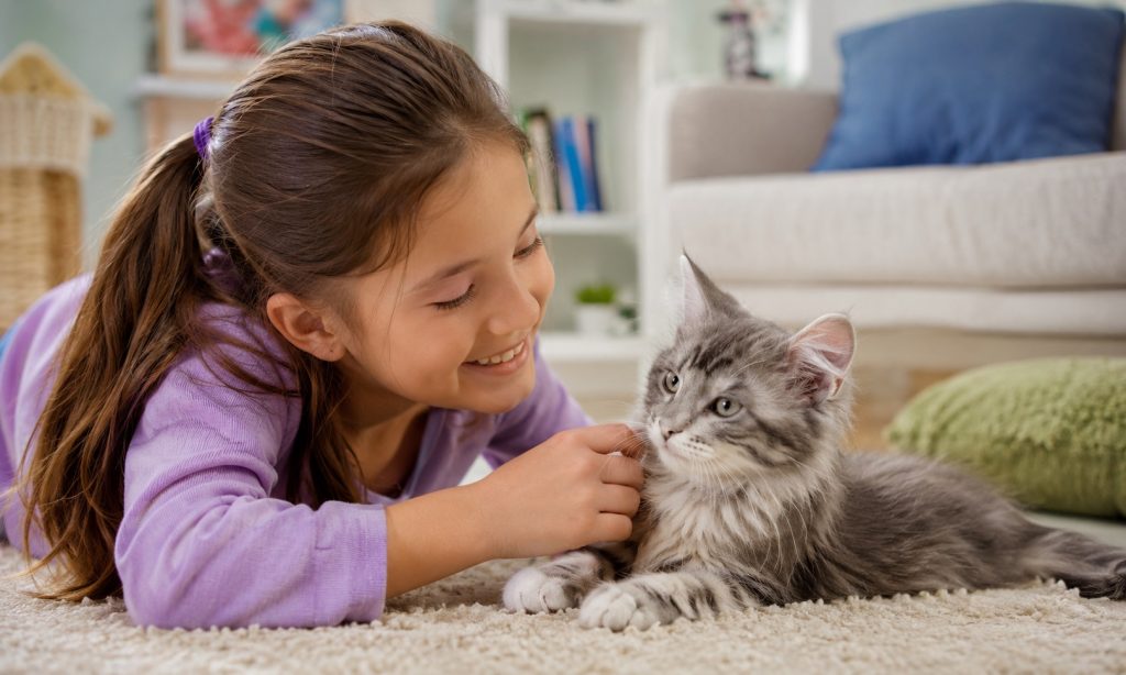 Best Cats For Kids