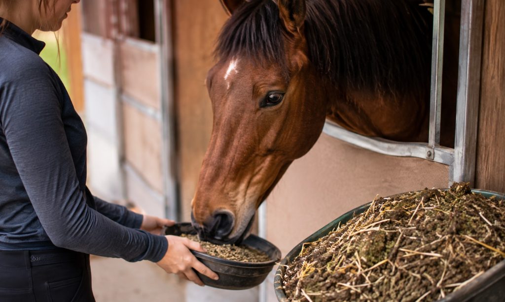 Best Feed For Horses With Cushings