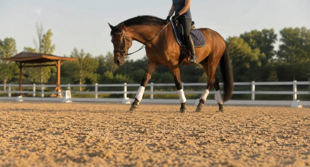 Best Footing For Outdoor Horse Arena