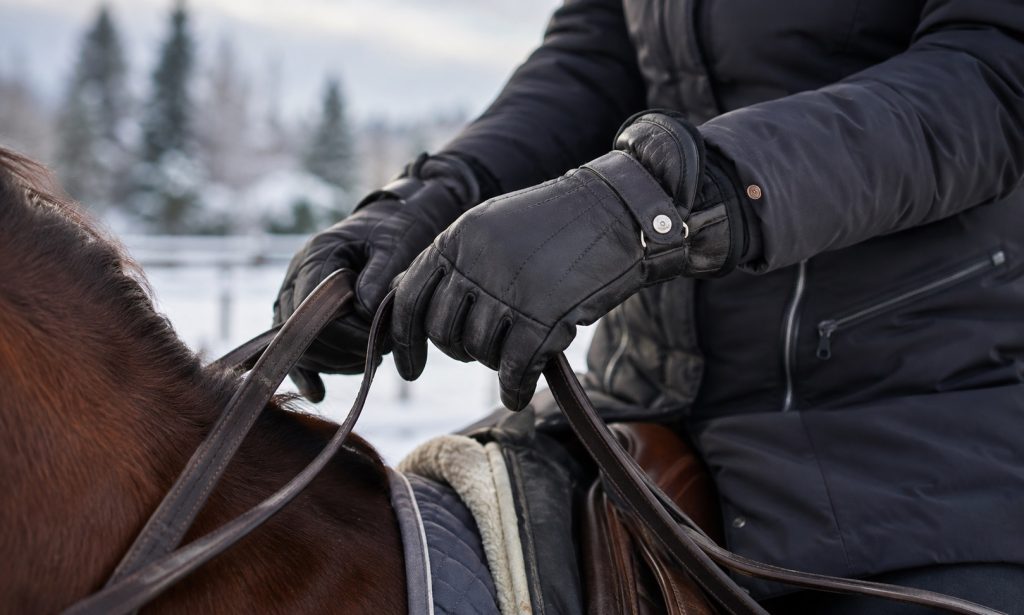 Best Gloves For Winter Horse Riding