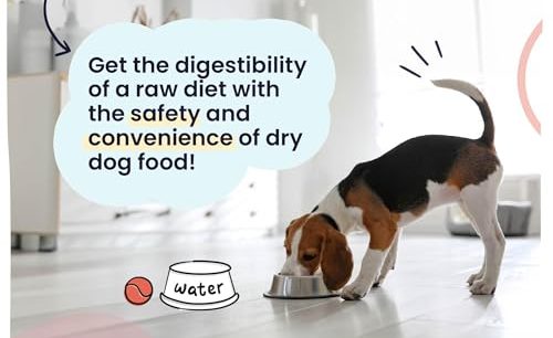 Best Air Dried Kibble For Dogs