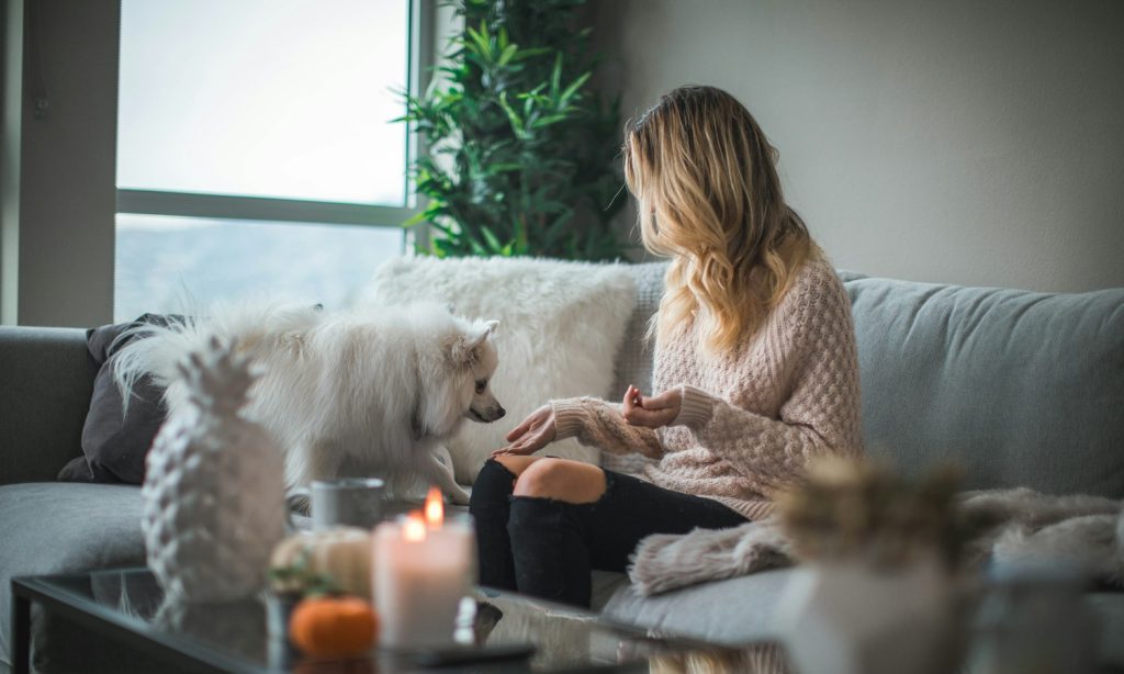 Dog relaxing at home during a pet camera check-in