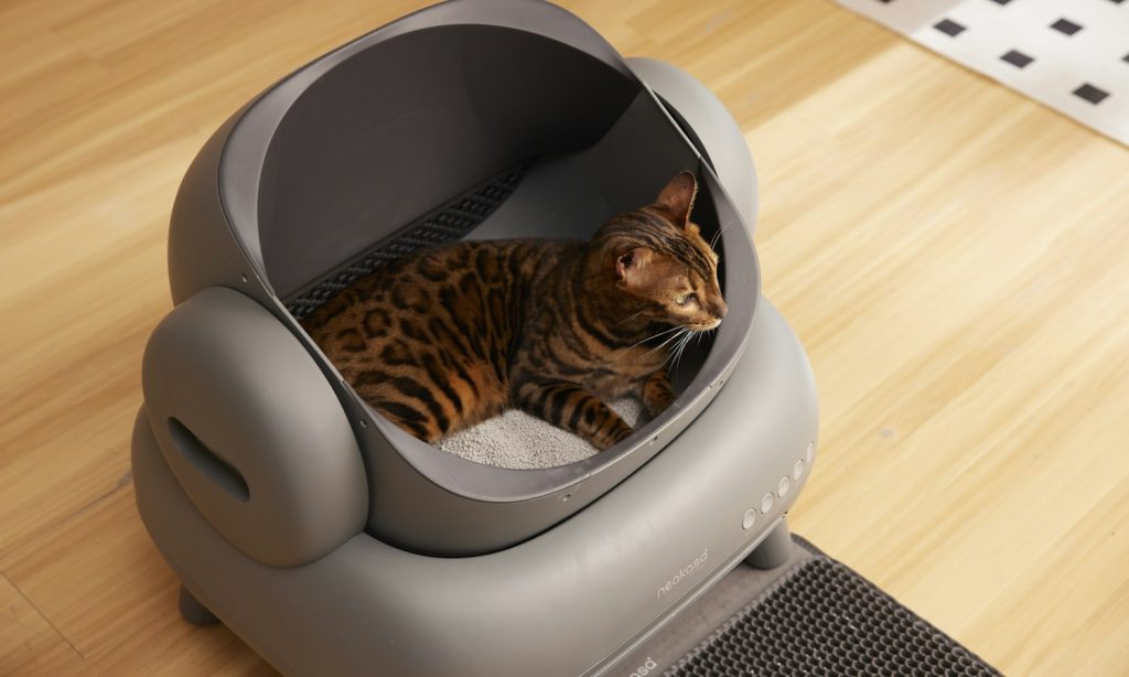 Silica cat litter for odor control